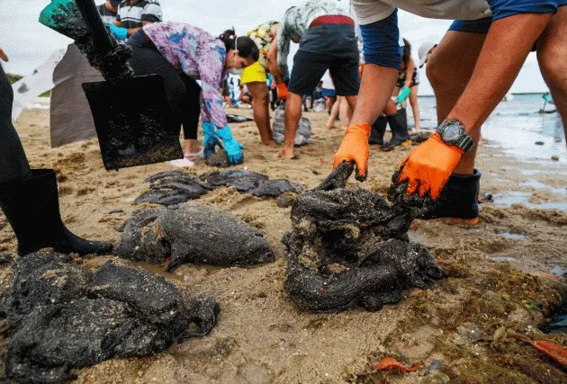 Pessoas removem óleo da praia 