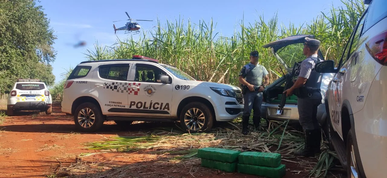 O suspeito conseguiu fugiu pelo canavial 