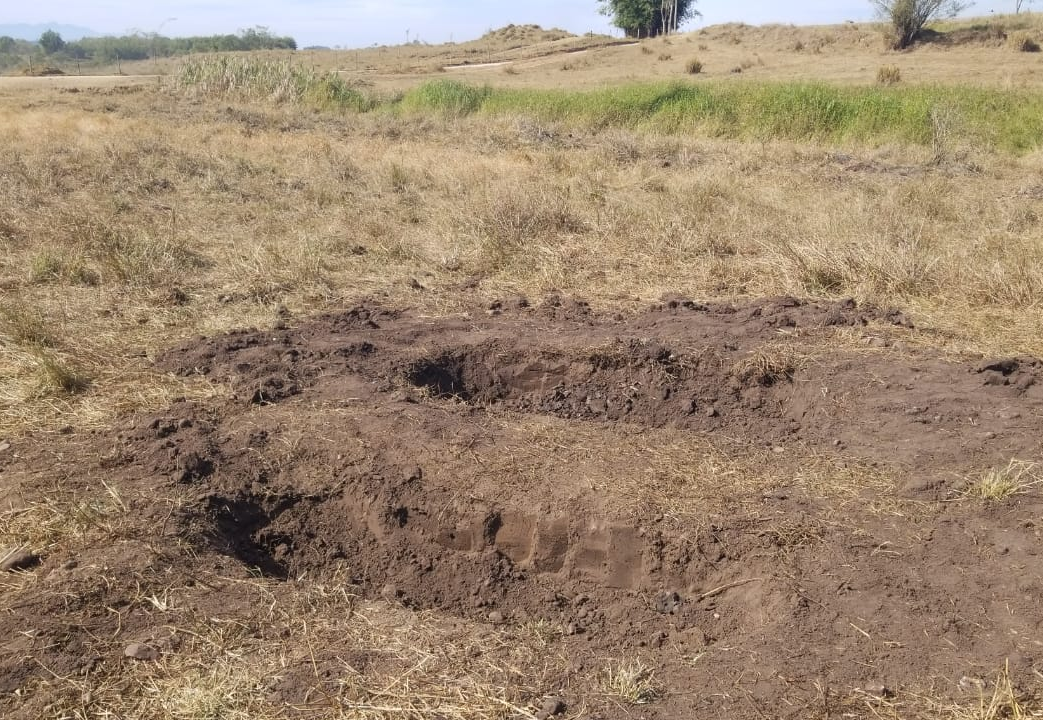 Corpos em cemitério clandestino de Pindamonhangaba são de jovens de Guaratinguetá Rauston Naves/Vale Urgente