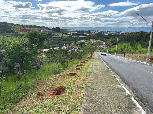 Projeto Reflorestando em Taubaté pretende plantar 12 mil mudas até o fim de 2023 Divulgação/ Prefeitura de Taubaté