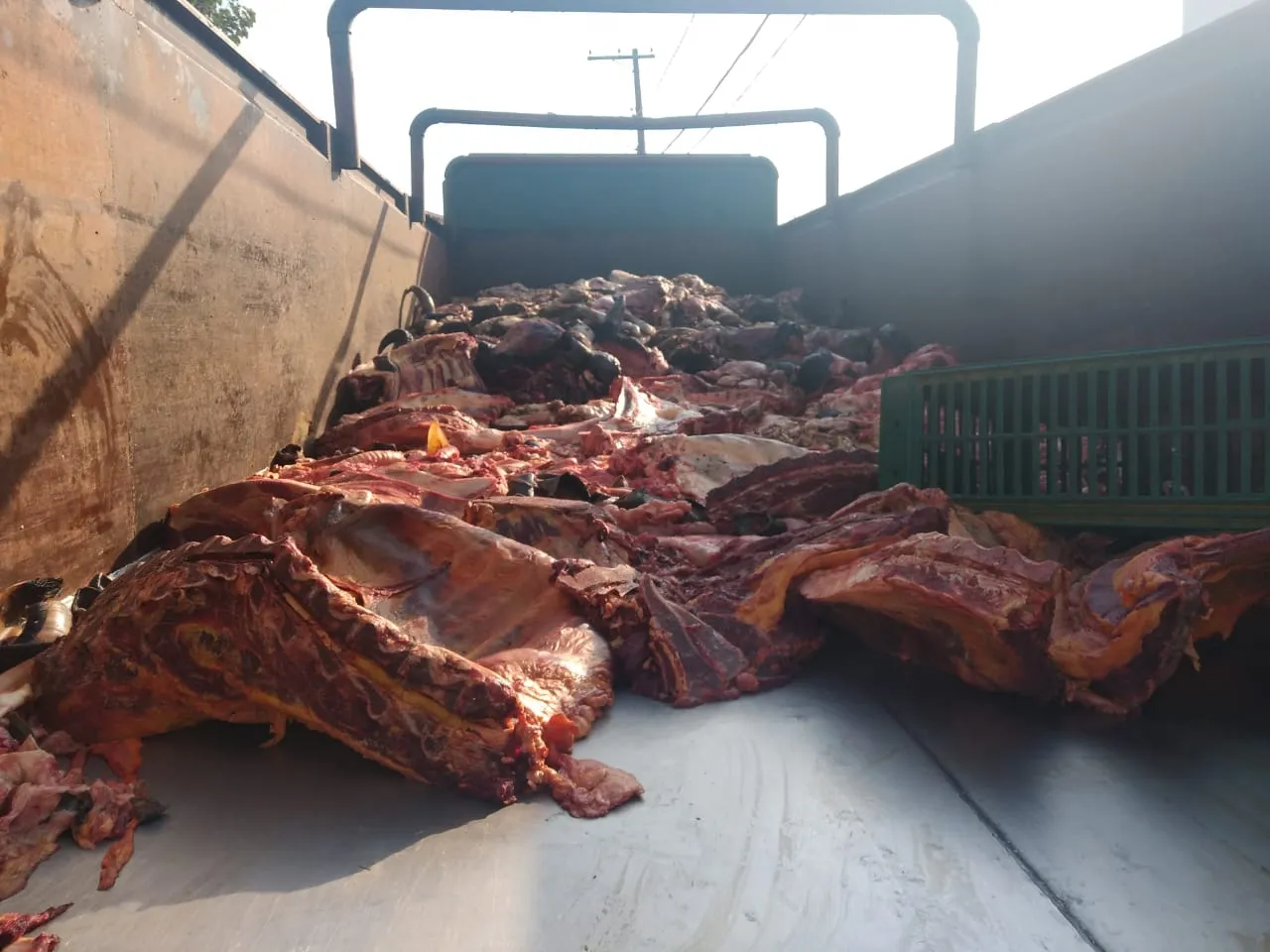 Trio é preso transportando carnes ilegalmente em Pindamonhangaba