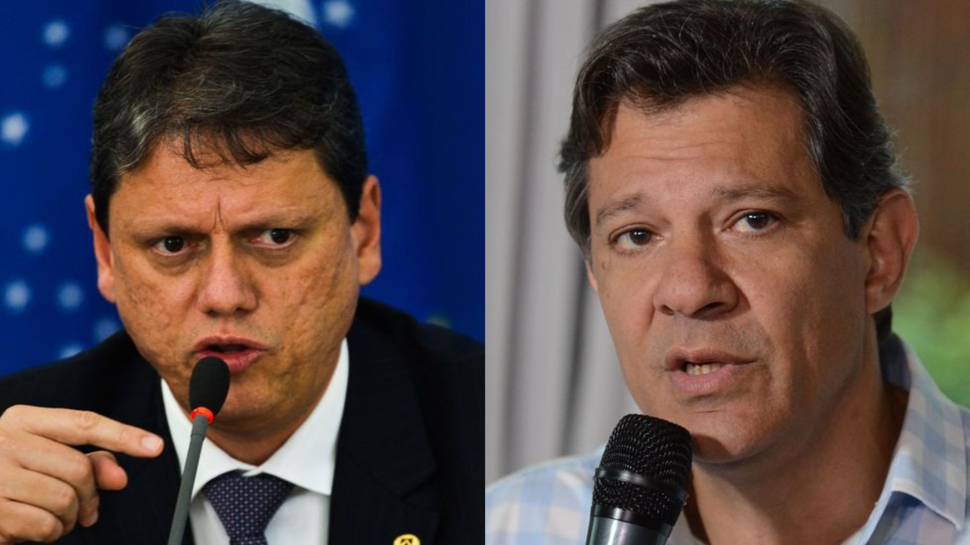 SP: Tarcísio (49,9%) mantém vantagem sobre Haddad (39,2%), diz Paraná Pesquisas Fotos: Agência Brasil