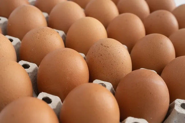 Como saber se o ovo está estragado? 4 truques podem te ajudar
