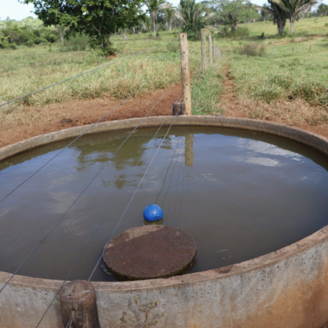 O cocho funciona como um bebedouro para os animais Foto: R.Villela