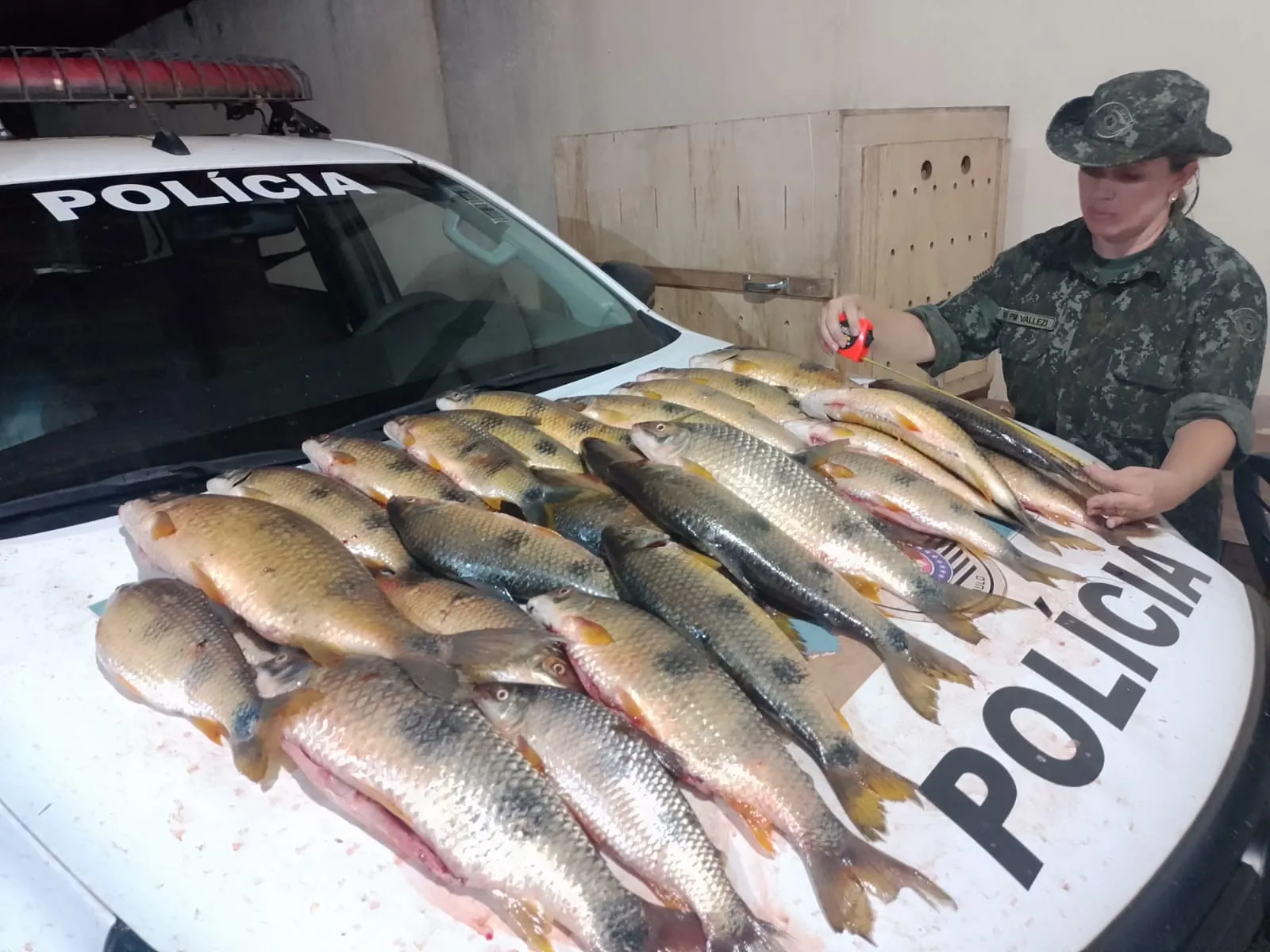 Homem é multado por pesca irregular na região de Paulicéia