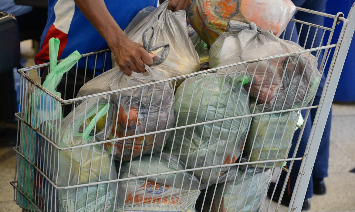 Melhor opção é levar sacolas reutilizáveis para o mercado Fernando Frazão/Agência Brasil