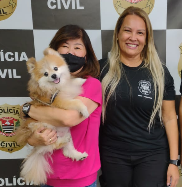 Assaltantes roubaram o celular da vítima e o seu cachorro, um lulu da pomerania Divulgação/DEIC