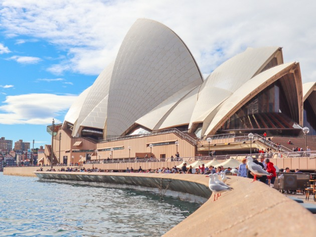 Austrália reabre fronteiras para turistas depois de quase 2 anos Foto: Pexels