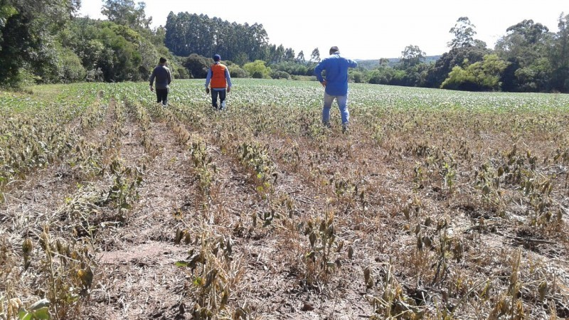 Mais de 380 municípios gaúchos já decretaram situação de emergência Foto: Defesa Civil RS