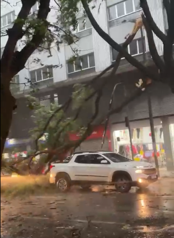 Chuvas foram acompanhadas de granizo e rajadas de vento que chegaram a 78 km/h Reprodução