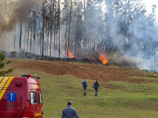 Seis equipes estão no local e há muito fogo na região Foto: Corpo de Bombeiros 