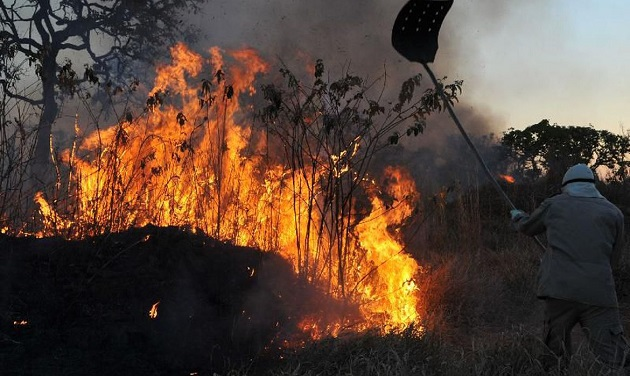 A carta cobra a criação de um “arcabouço político-regulatório”, como parte do compromisso de firmar ações eficazes para a preservação do meio ambiente Foto: Valter Campanato/Agência Brasil