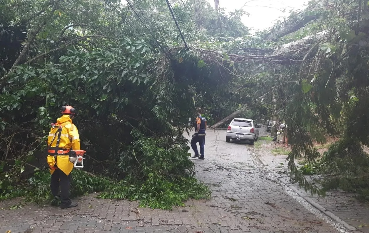 Defesa Civil havia alertado sobre risco de temporais no Litoral Norte neste fim de semana Arquivo/Defesa Civil 