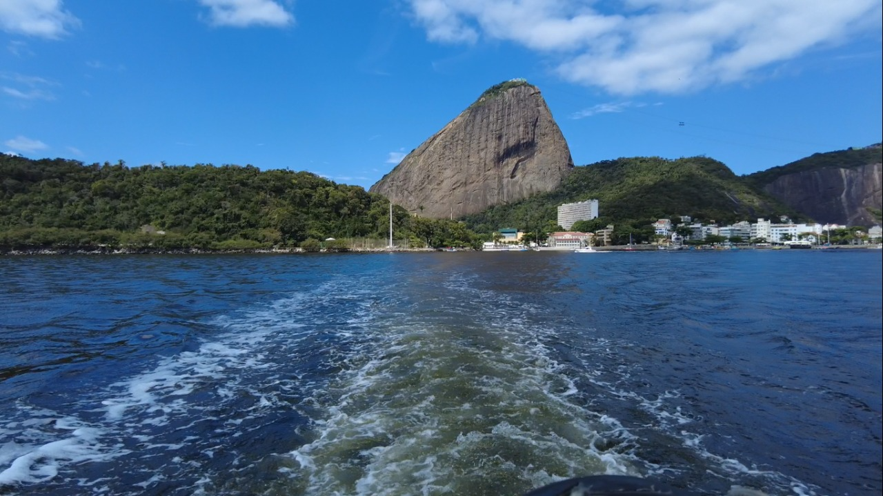 Baía de Guanabara é a quinta do mundo em diversidade de raias TV Band 