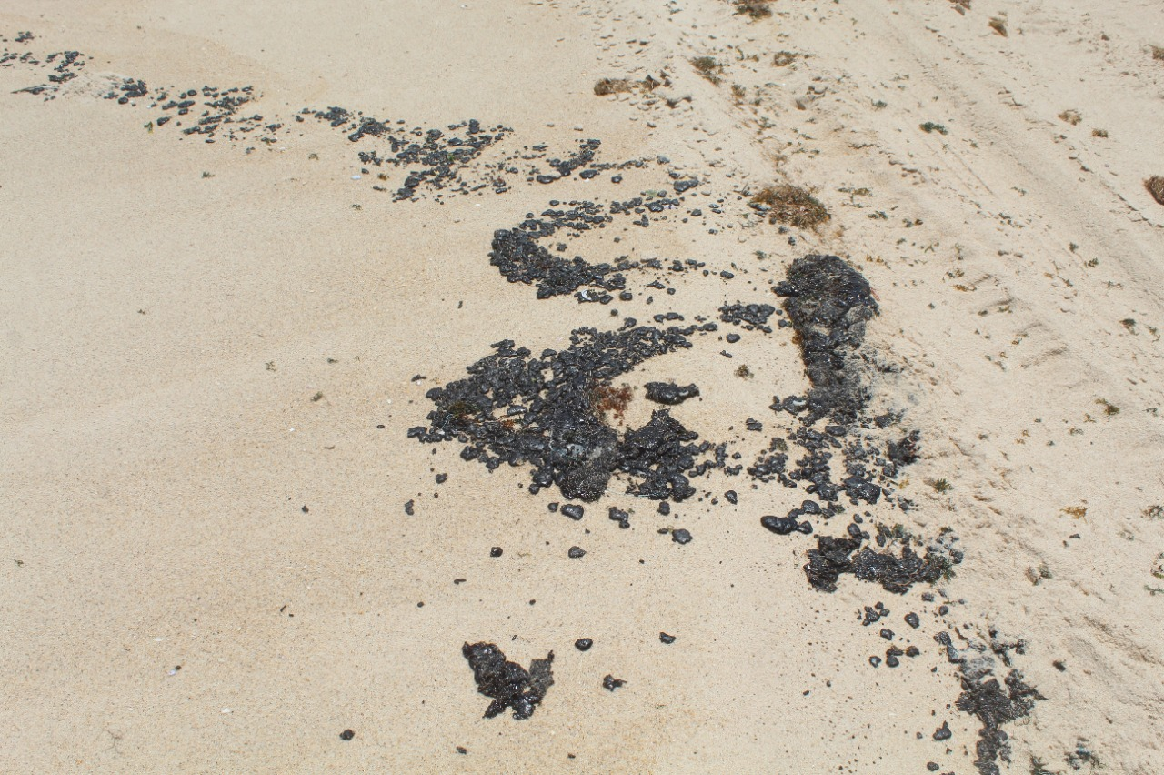 Autoridades do Ceará irão investigar manchas de óleo que surgiram no litoral