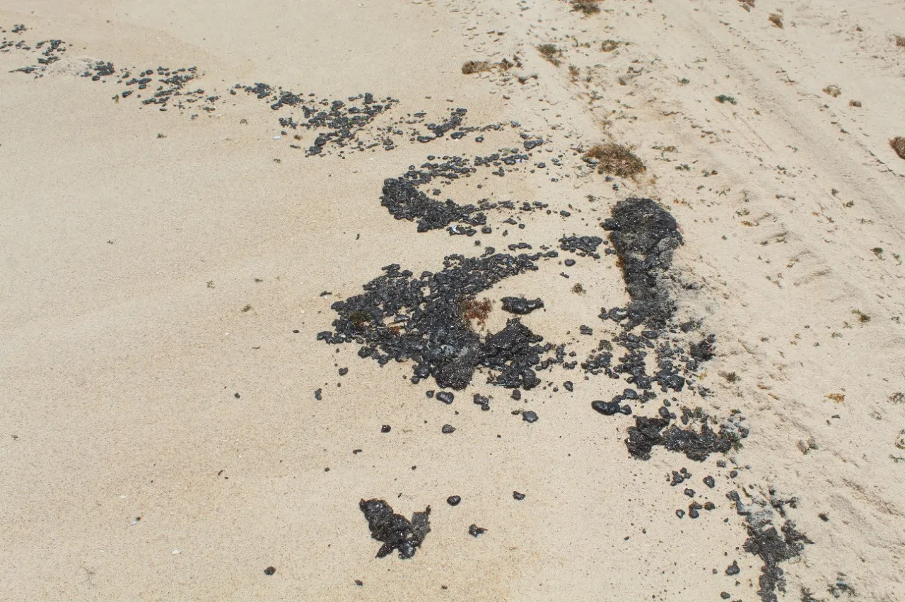 As manchas foram encontradas primeiramente na praia de Canoa Quebrada