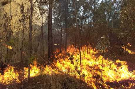 Segundo o Corpo de Bombeiros, com o tempo seco, os incêndios tendem a aumentar Reprodução/Corpo de Bombeiros