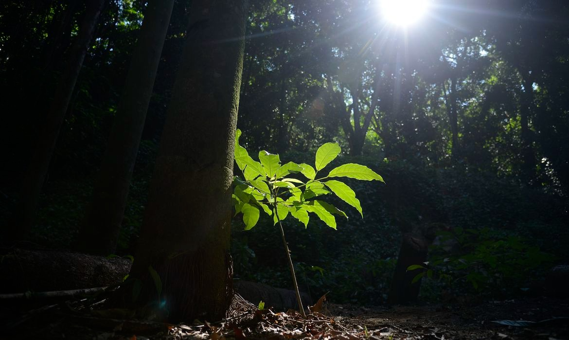 Programa busca modelo sustentável de sociedade Tânia Rêgo/Agência Brasil