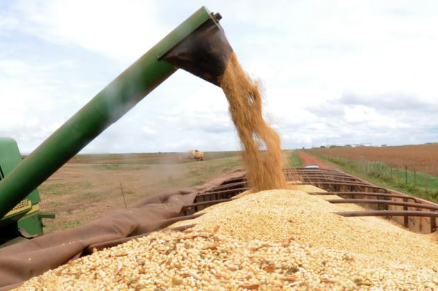 Brasil se mantém como o terceiro maior exportador mundial no setor do agronegócio Foto: Agência Brasil 