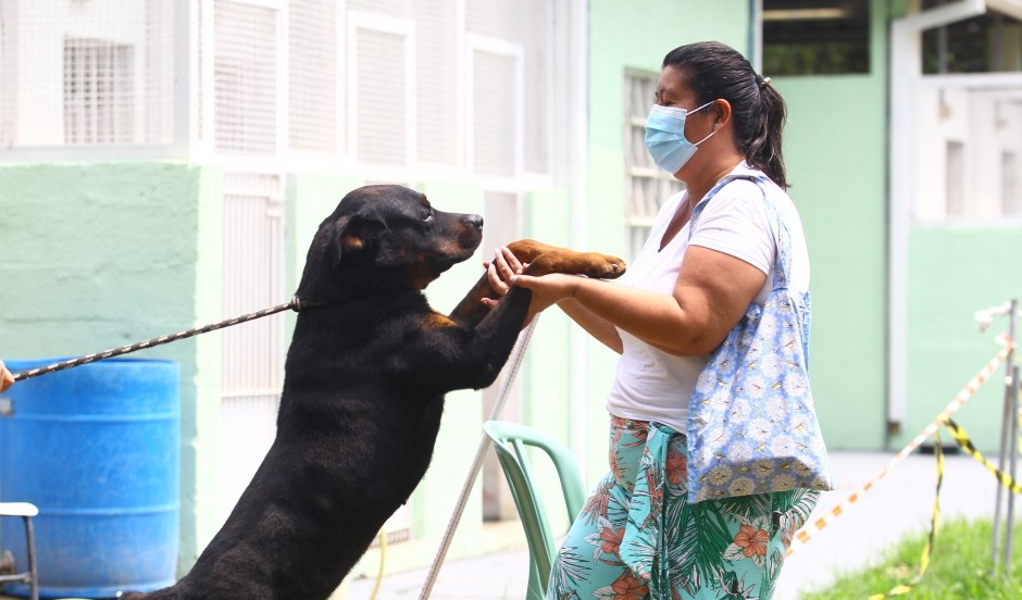 Todos os pets do CCZ estão devidamente vacinados, são castrados e microchipados Claudio Vieira/PMSJC