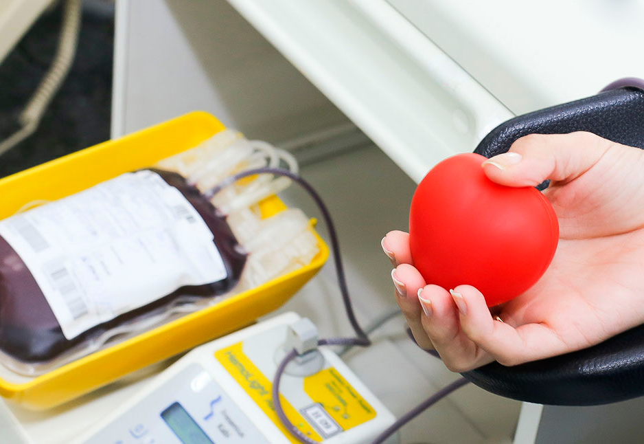 Saiba como doar ao Banco de Sangue de São José dos Campos Divulgação/Banco de Sangue de São José dos Campos