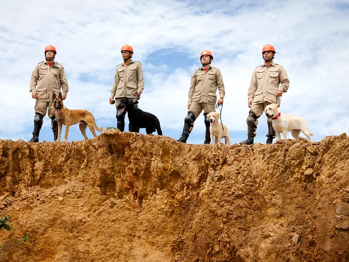 Cachorra que trabalhou nos resgates de Brumadinho ajuda nas buscas ao serial killer Lázaro