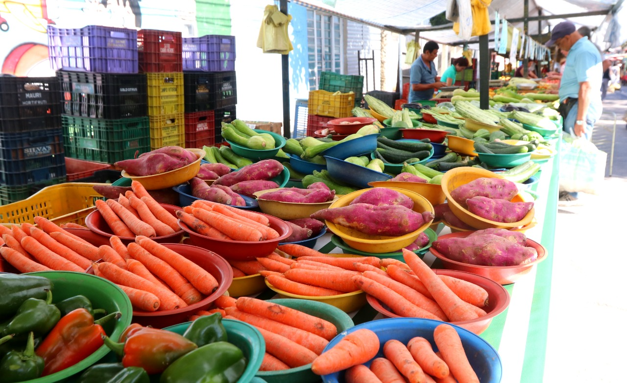 Curso voltado aos profissionais de alimentação Divulgação / Prefeitura de Jacareí