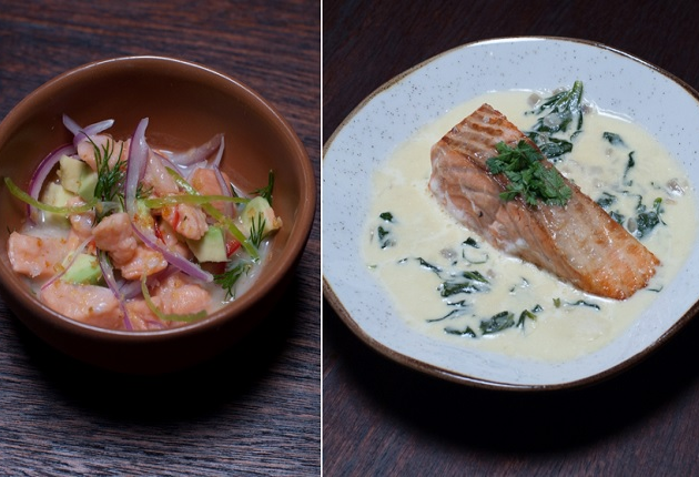 Salmão Marinado com Três Limões e Salmão com Creme de Espinafre | Band Receitas