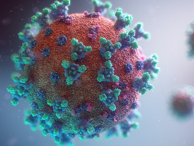 Brasil entra na pior semana desde o início da pandemia; saiba qual a situação em cada região do país  Reprodução