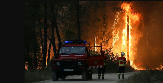 França, Espanha e Itália enfrentam incêndios florestais há semanas Foto: Reprodução/Reuters