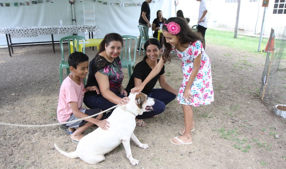 Estarão disponíveis 60 cães para tutela, sendo 49 machos e 11 fêmeas Claudio Vieira/PMSJC