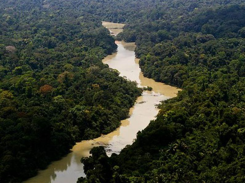 Desmatamento na Amazônia cresce  Leonardo Milano/Agência Brasil