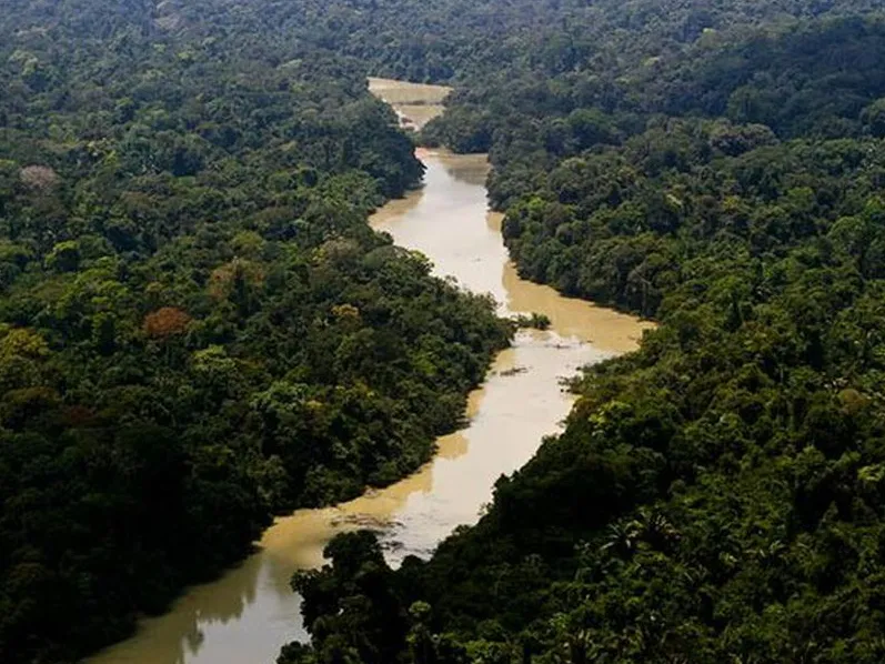 Desmatamento na Amazônia cresce 