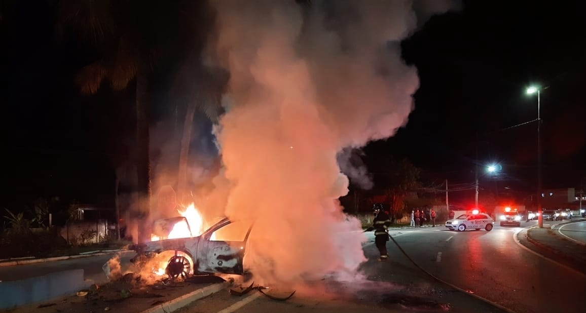 Veículo pega fogo após motorista atingir coqueiro em São Sebastião