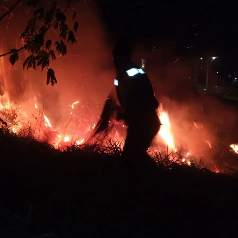 Incêndio atinge terreno no bairro Chácara Silvestre em Taubaté  Reprodução / Defesa Civil de Taubaté