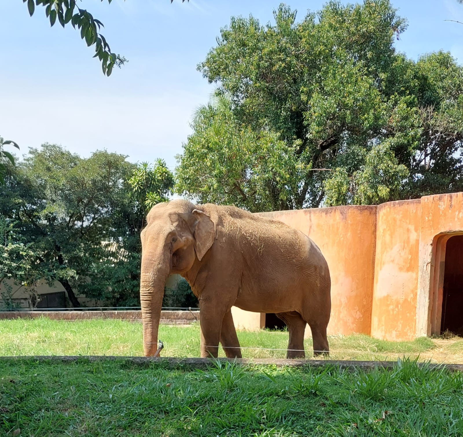 Sandro está no zoo de Sorocaba há 40 anos Cida Haddad