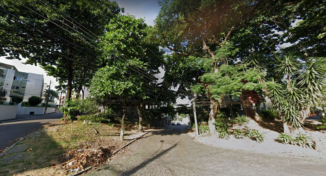 Moradores do Jardim Guanabara dizem que primeiros pedidos de poda foram em 2019 Reprodução/Google Street View