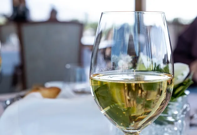 Chardonnay: saiba por que o local de cultivo pode mudar o sabor do vinho
