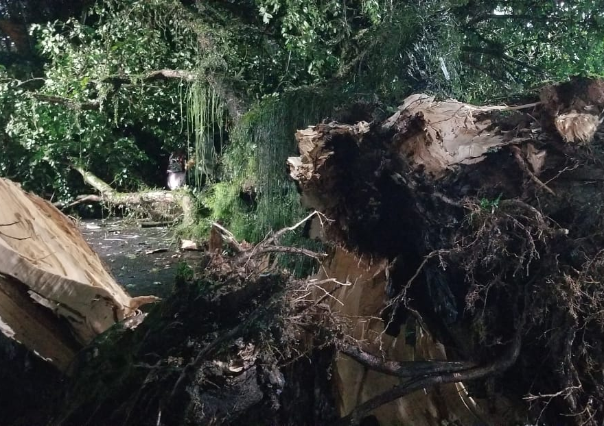 A queda de energia provocada pela chuva colaborou com forte odor em São José dos Campos Rauston Naves/Vale Urgente