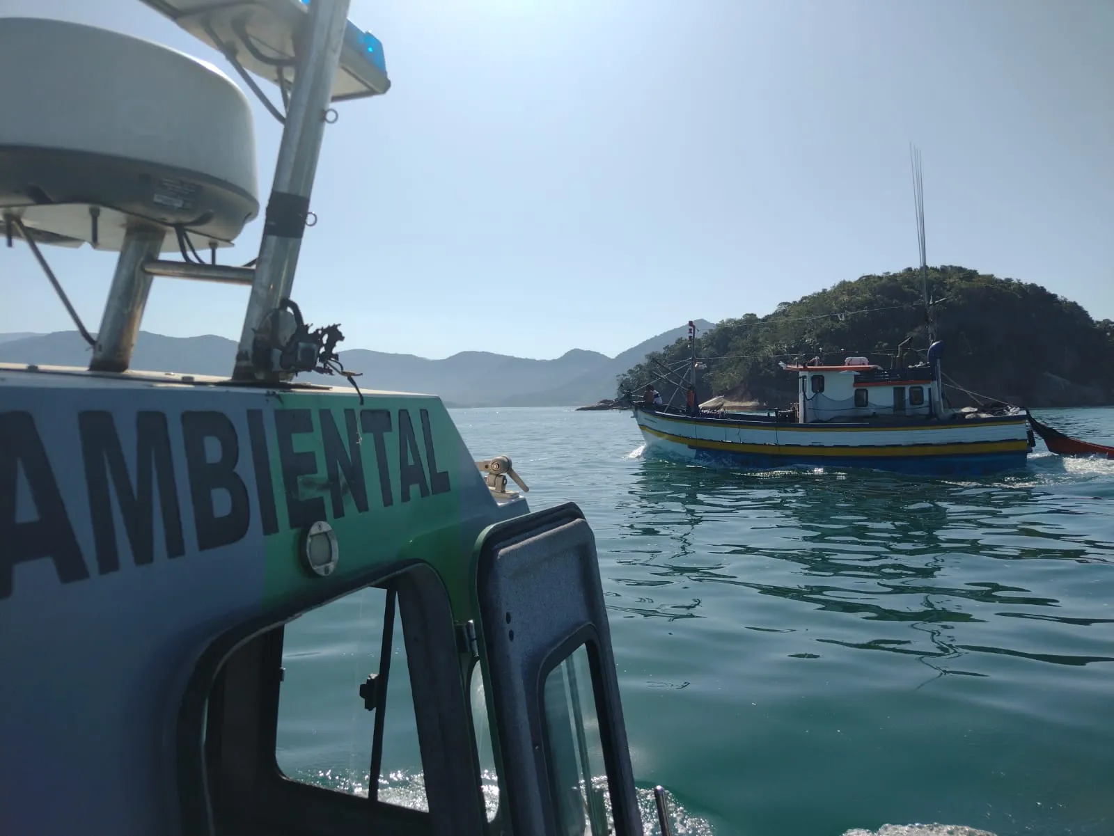 620kg de tainhas são apreendidas em barco de pesca irregular em Ubatuba