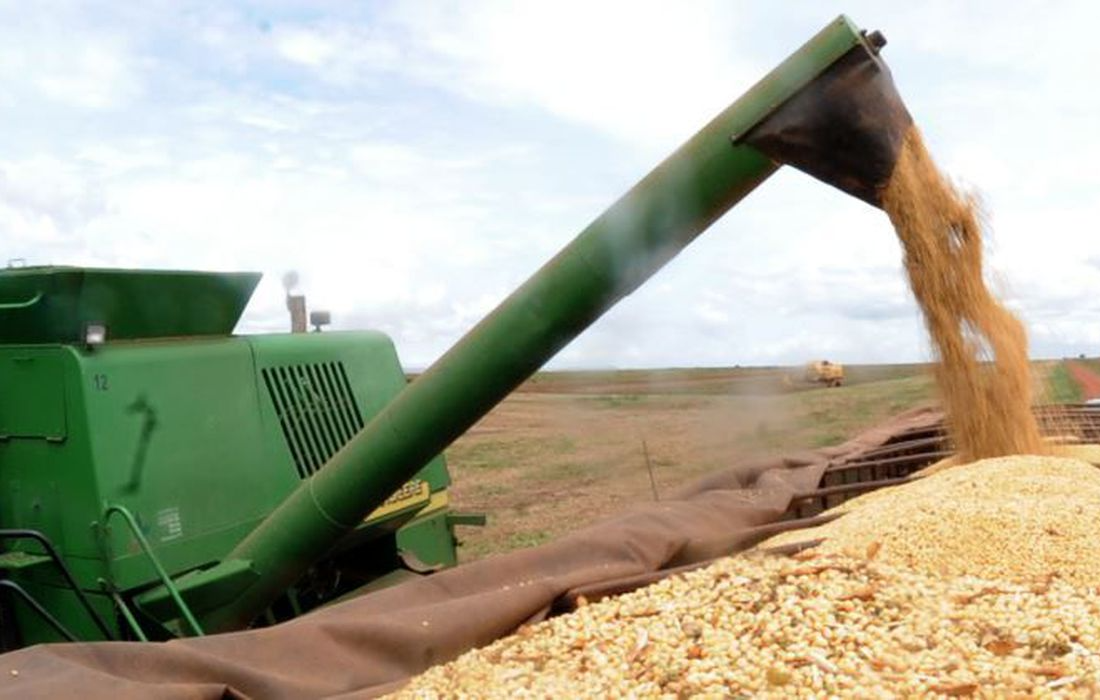 A agropecuária puxa o crescimento do PIB brasileiro. Foto: Arquivo/Agencia Brasil