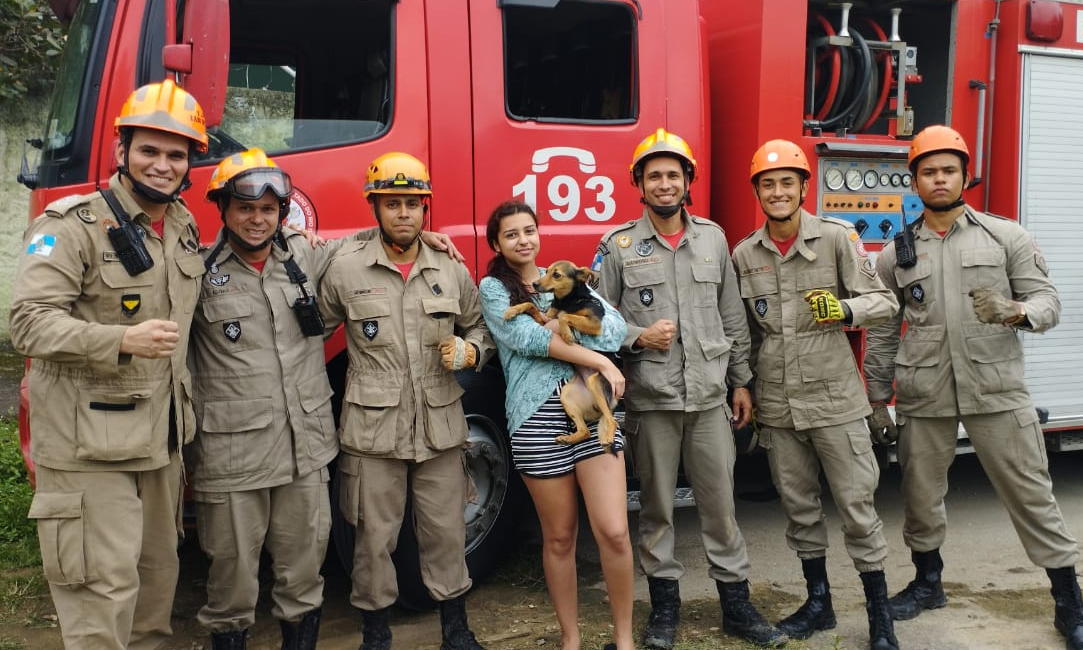 Fêmea tem três anos Divulgação/Corpo de Bombeiros 