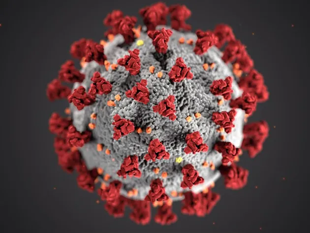 Detectado primeiro caso de reinfecção no Brasil por nova mutação do coronavírus