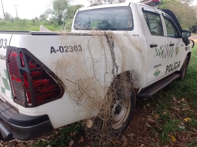 Homem não chegou a capturar pescados. Foto: Polícia Militar Ambiental