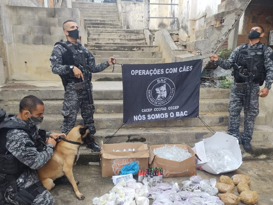 Os agentes usaram cães farejadores na operação Divulgação/ Polícia Militar