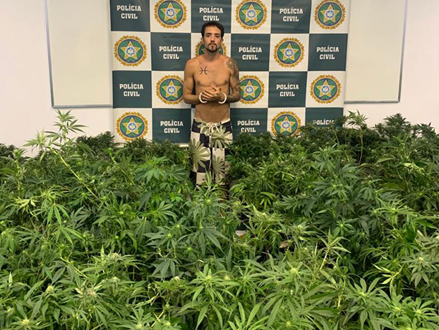 Estudante de direito é preso por administrar três sítios com plantação de maconha no RJ Divulgação/Polícia Civil do Rio de Janeiro