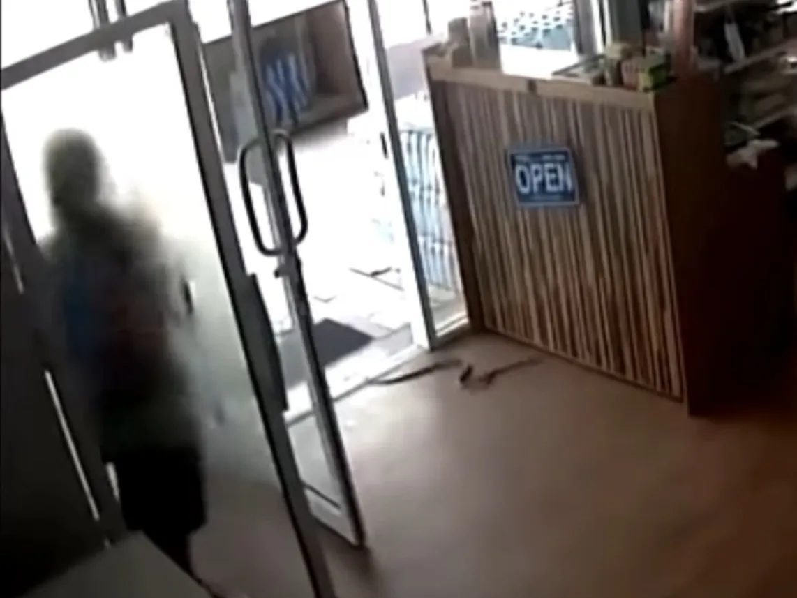Vídeo mostra funcionária correndo após cobra invadir loja
