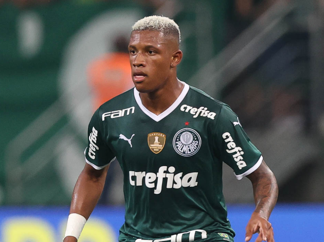 Danilo, do Palmeiras, pede desculpas por termo homofóbico contra o São Paulo Cesar Greco/Palmeiras