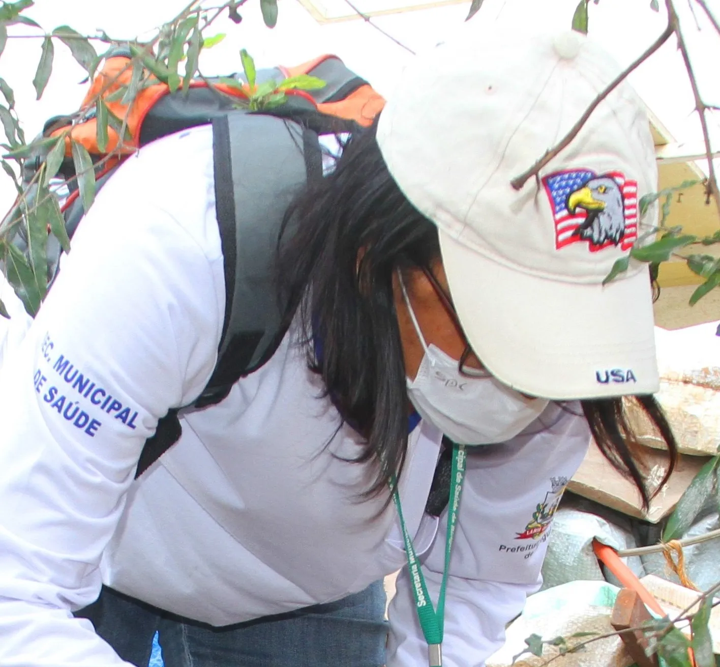 A meta é combater o mosquito Aedes aegypti