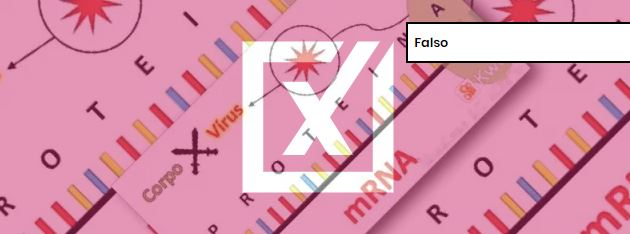 É falso um vídeo viral que estabelece relação de causa e consequência entre vacinas de RNA mensageiro e doenças autoimunes Foto: Divulgação/Comprova 